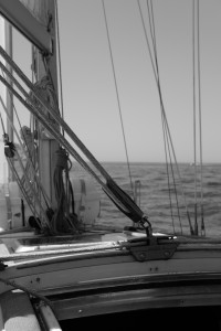 DSCF2050.JPG