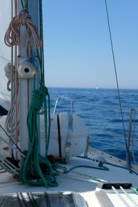 DSCF2053.JPG