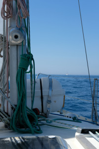 DSCF2054.JPG