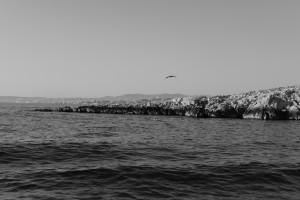 DSCF2099.JPG