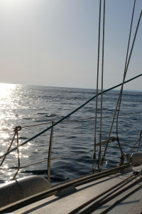 DSCF2107.JPG