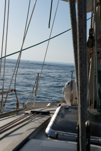 DSCF2108.JPG