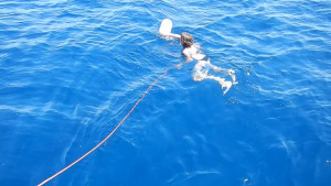 DSCN5180.MOV
