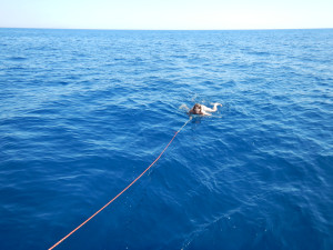 DSCN5183.JPG