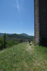 IMGP0706.JPG