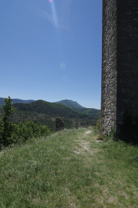 IMGP0707.jpg