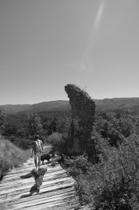 IMGP0710.JPG