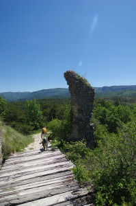 IMGP0711.JPG