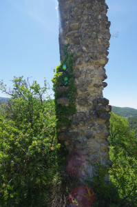 IMGP0712.JPG