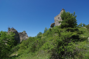 IMGP0713.JPG