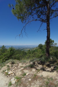 IMGP0716.JPG