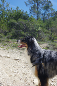 IMGP0720.JPG