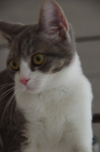 IMGP0289.JPG
