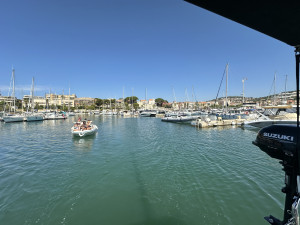 IMG_6336.JPG