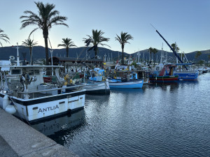 IMG_1600.JPG