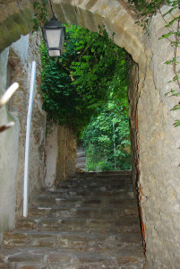 IMGP1824.JPG