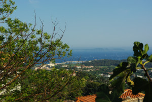 IMGP1830.JPG