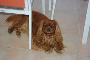 IMGP1838.JPG