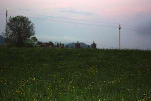 3122_IMGP0861-001.jpg