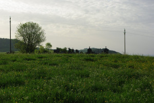 3160_IMGP0887-001.jpg