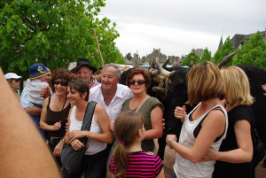 3256_IMGP0935-001.jpg