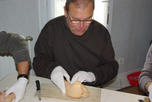 IMGP2052.JPG