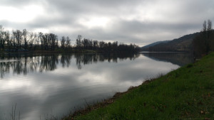 2016-03-05%2010.11.32.jpg