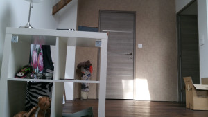 2016-04-21%2010.32.24.jpg
