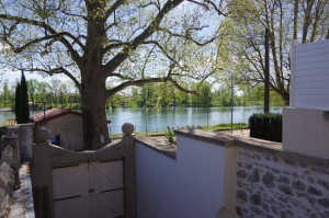IMGP0470.JPG