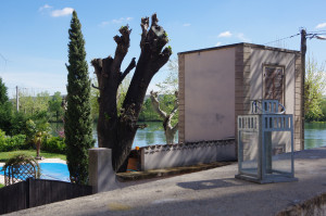 IMGP0474.JPG