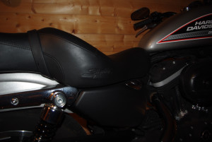 IMGP2377_redimensionner.JPG