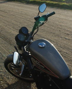 IMGP2385.jpg
