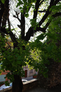 1638_IMGP0683.jpg