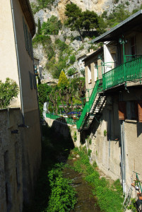 1772_IMGP0750.jpg