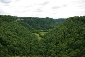 4950_IMGP4446.jpg