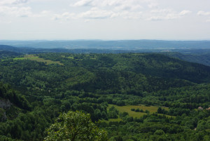 5025_IMGP4523.jpg