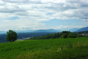 5095_IMGP4595.jpg