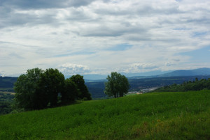 5096_IMGP4596.jpg