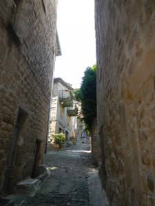 DSCN1111.JPG