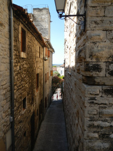 DSCN1131.JPG