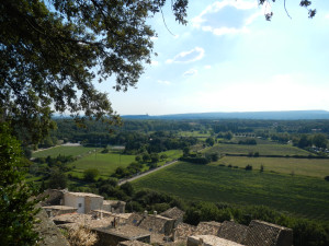 DSCN1143.JPG
