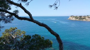 20150524_110735.jpg