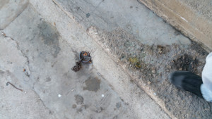 20150524_194527.jpg