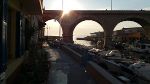 20150524_194833.jpg