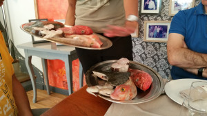 20150524_200334.jpg