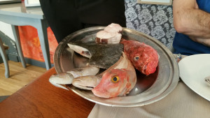 20150524_200350.jpg