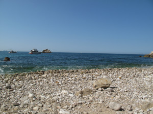 IMG_0784.JPG
