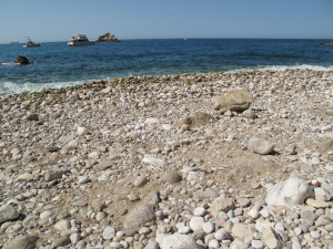 IMG_0785.JPG