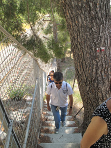 IMG_0794.JPG