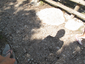 IMG_0805.JPG